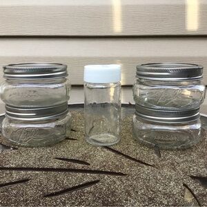 Dry Spice Glass Storage, (4) Small Ball Mason Jars + Tall Shaker